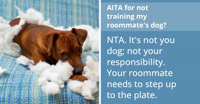 Pet Owner Has Had It With Their Entitled Roommate Who Owns A Dog Yet Dumps The Responsibility Of Training It On Others