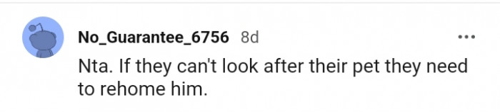 Rehoming Is the Best Option