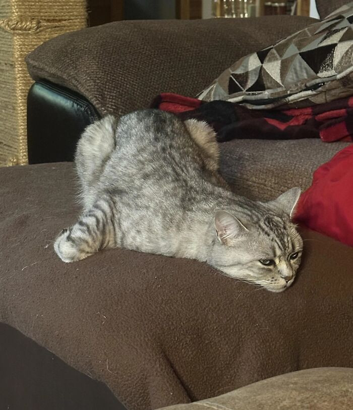 "He Finds The Most Interesting Ways To Sleep"