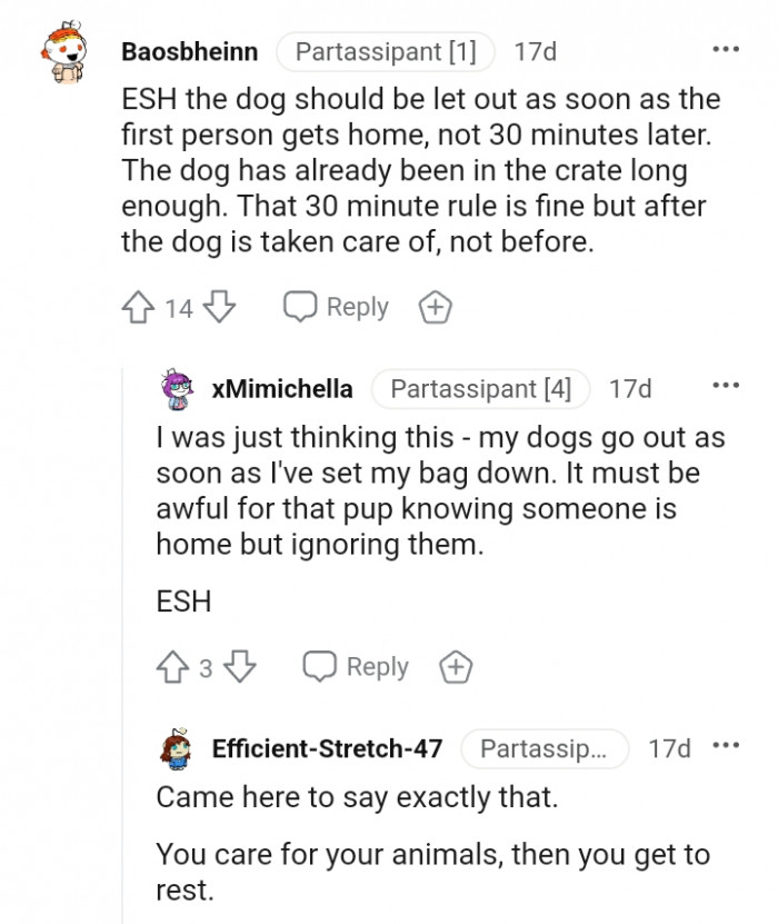 The dog should be let out as soon as the first person gets home