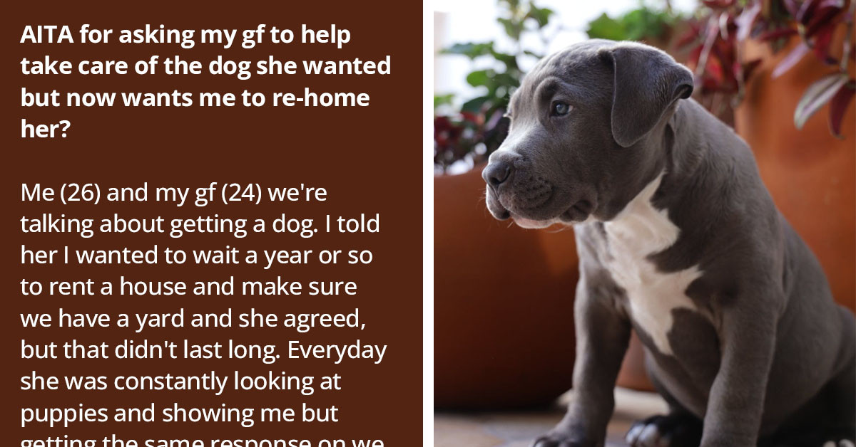 Redditor Is Worried His GF Is Jealous Of Their Puppy Because She Doesn't Want To Take Care Of It And Wants To Re-Home It