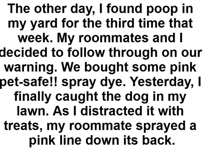 They decided to follow through with their threat and spray paint her dog pink.