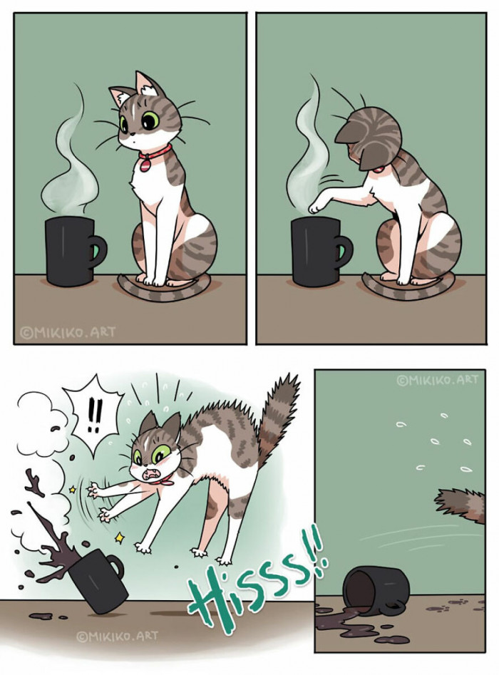 9. This is the perfect opportunity to say the phrase, "Curiosity killed the cat," and not complete it because that's just what it is.