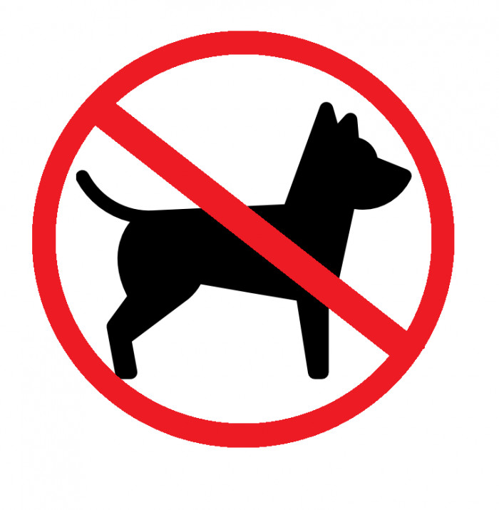 The Top 20 Dogs Not Recommended for Novice Dog Owners