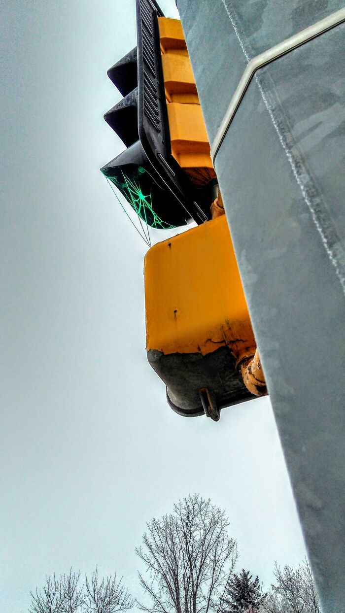 33. ITAP Of A Spiderweb On A Traffic Light