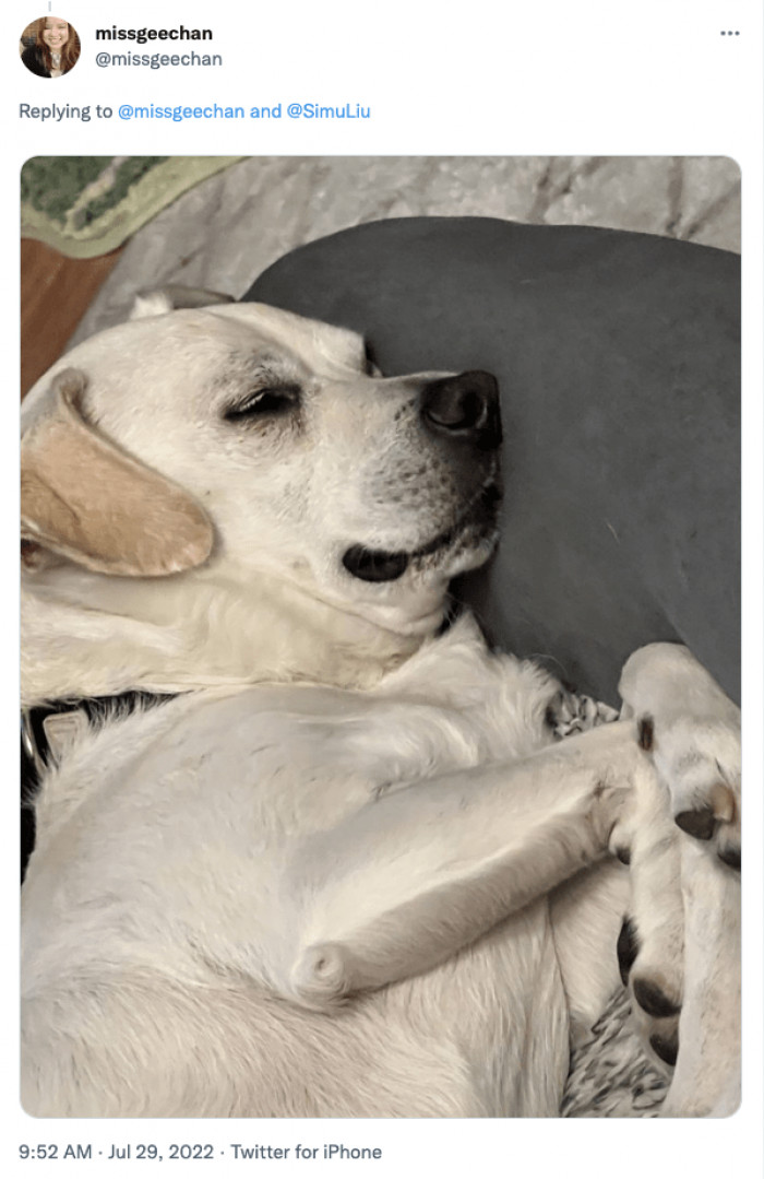 6. The most peaceful nap a doggo can take.