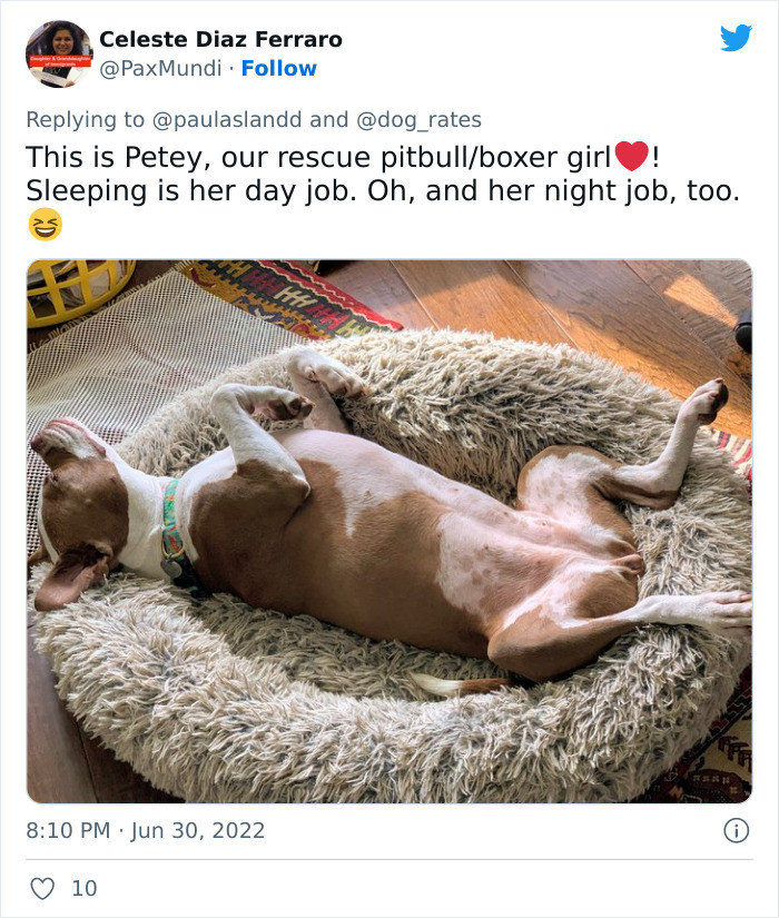 Sleeping both day and night