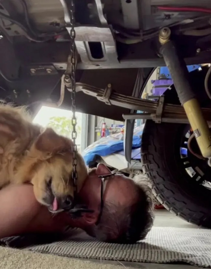 Sometimes, it takes videos like this one to realize how much love dogs can offer to their human friends