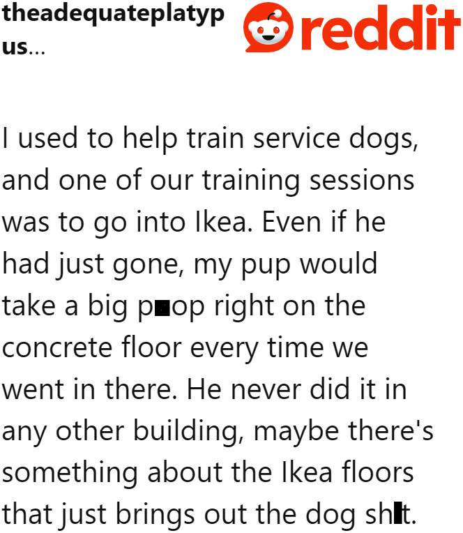 A Redditor believes there’s something about IKEA floors that makes dogs want to poop on them.