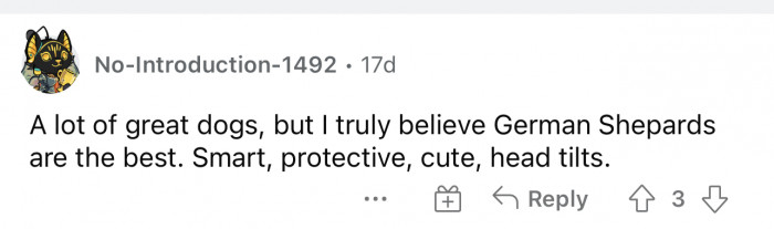 Totally agree, and heavy on the head tilts. A German Shepherd's signature move.