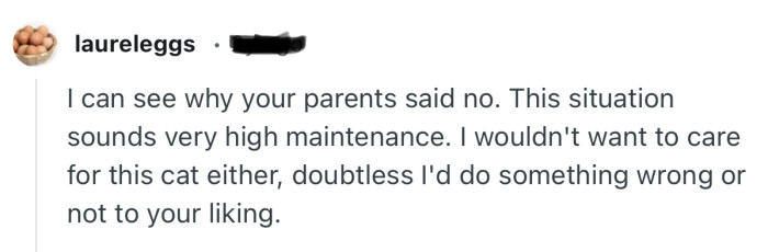 “I wouldn't want to care for this cat either, doubtless I'd do something wrong or not to your liking.”