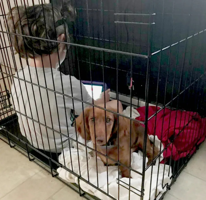 9. Screen time’s the worst