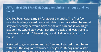 Woman Has Had It With Her Boyfriend's Destructive Dogs Making A Mess Of Her Home, Vents To An Online Community About The Situation