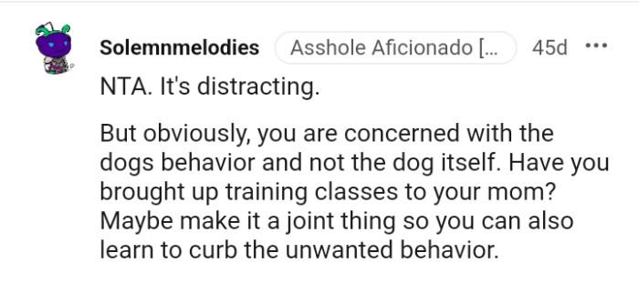 Has the OP brought up training classes to her mom?
