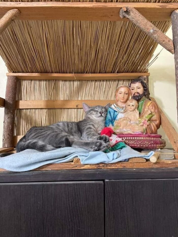 24. Wise men bring gold, frankincense, and myrrh. This guy brings naps.