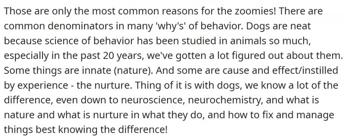 Every dog is different, and so are their triggers for zoomies