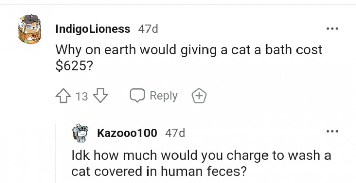 2. Why would bathing a cat cost that much?