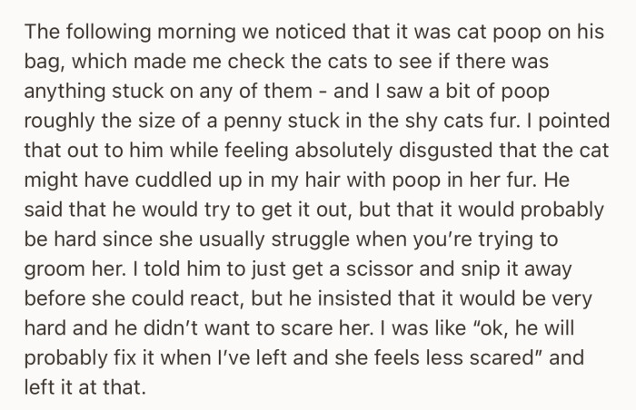 By the next morning, she noticed poop on the cat’s body, and they both started going back and forth on the best way to get it out of its fur