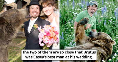 Man Rescues Grizzly Bear From Wildlife Park, Builds Him A Shelter, And They Become Best Friends