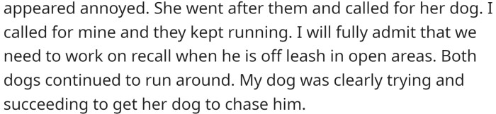 The main character took their dog to the dog park, where he was playing with other dogs