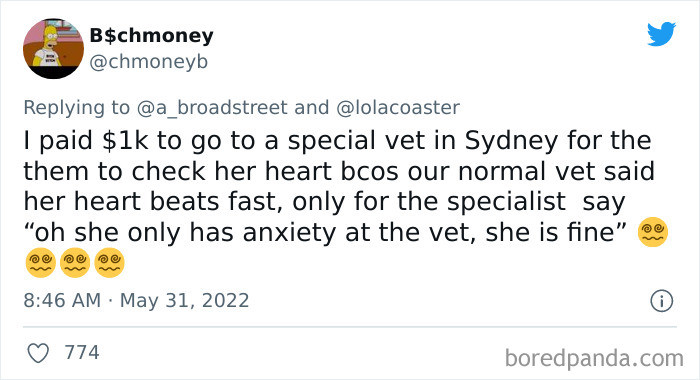 #10 Bro, an extra expense just for vet anxiety.