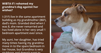 Family Plots Strategy to Invade Their Granny's Home and Kidnap Her Dog, as They've Deemed the Canine a Threat to Her Safety