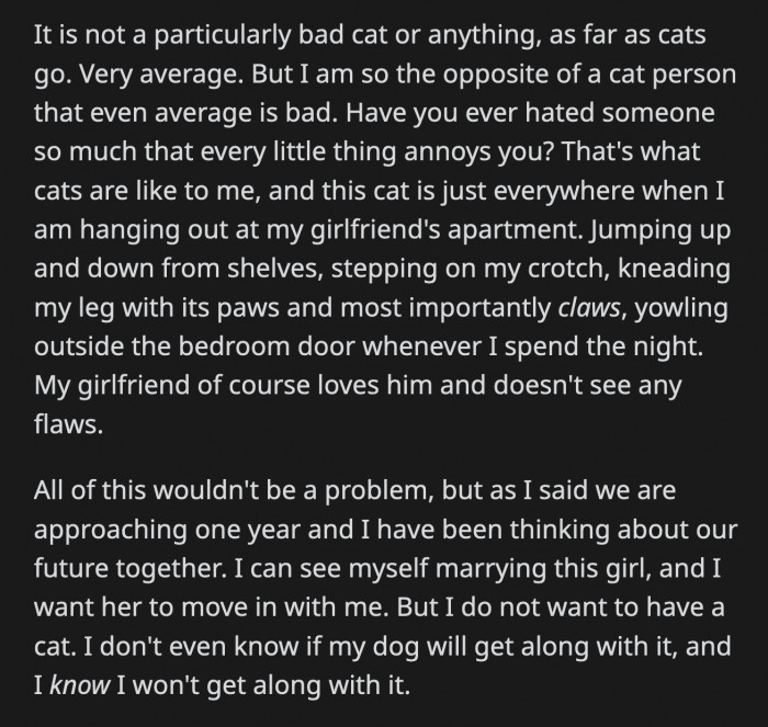 She dismissed his arguments and said he needed to figure out what he wanted because she and her cat could either move in with him or not at all