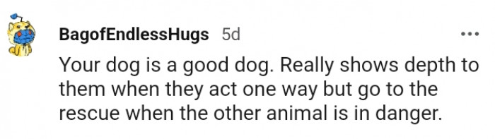 11. Go to the rescue when the other animal is endangered