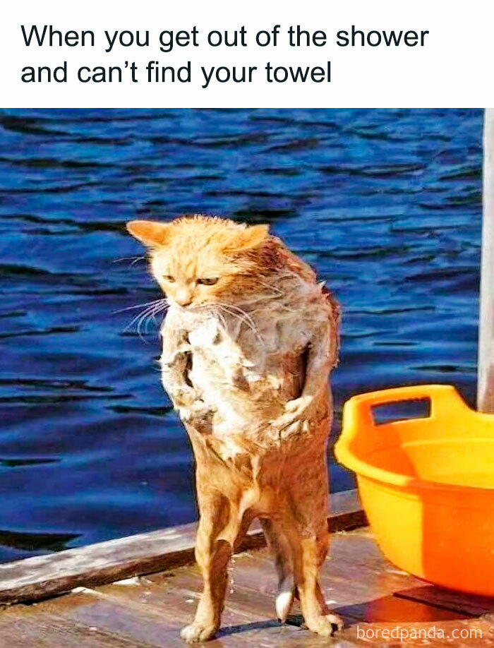 50. What am I gonna do now?