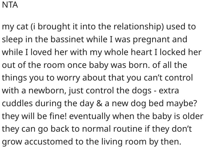 9. The dogs can stay in the living room until the baby is older.
