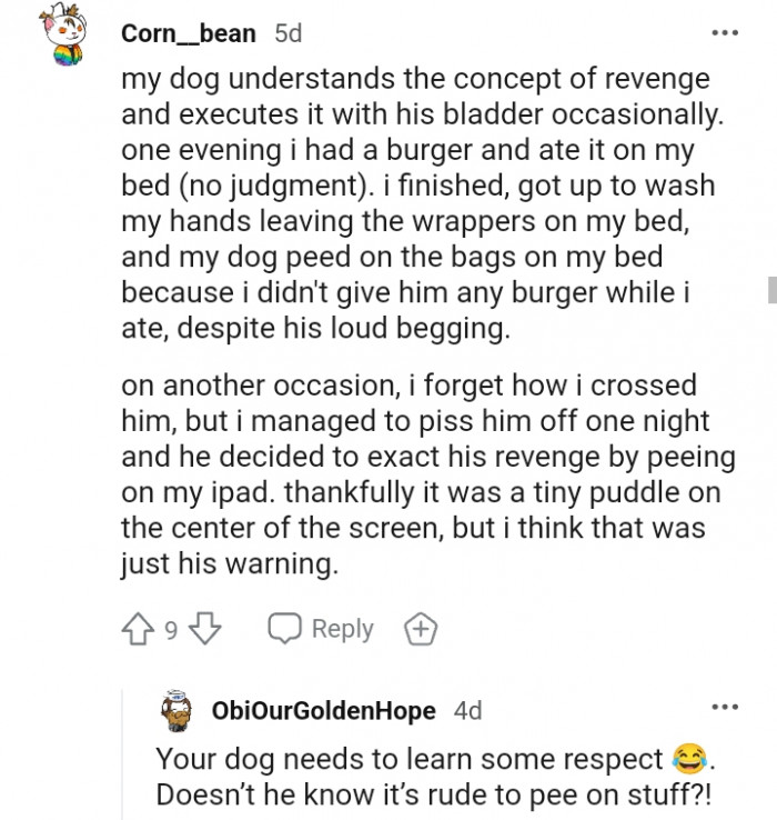 30. This dog who understands the concept of revenge