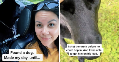 Woman Returns a Dog She Found, but the Dog Is Reluctant to Go Back Home, So She Visits to See If He Is Okay