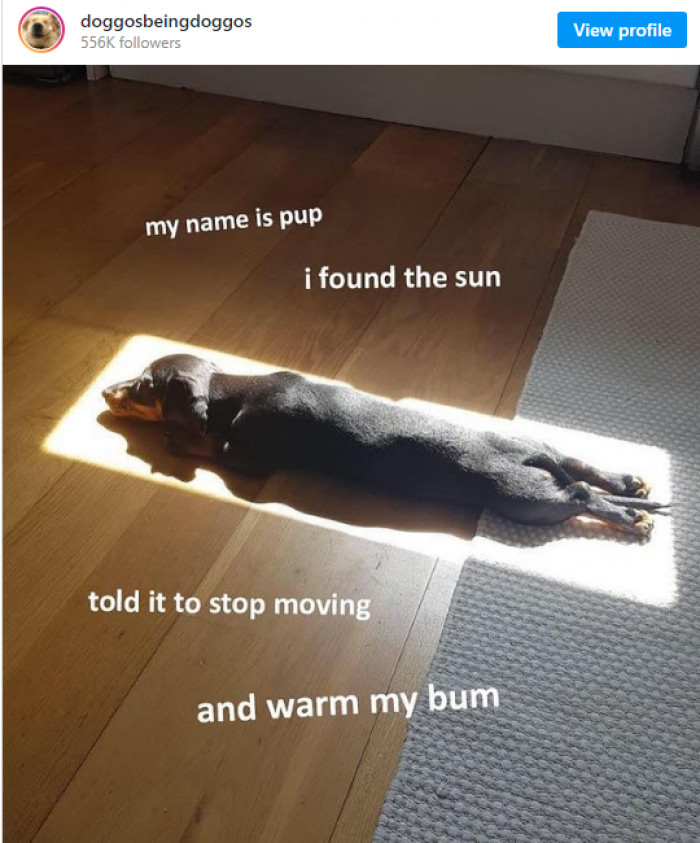 18. If this isn't a lovely poem, I don't know what is...