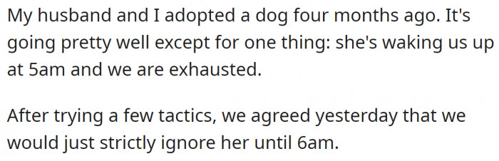 They adopted an early riser dog