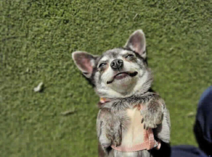 It took shelter staff some time to build bonds with this little group