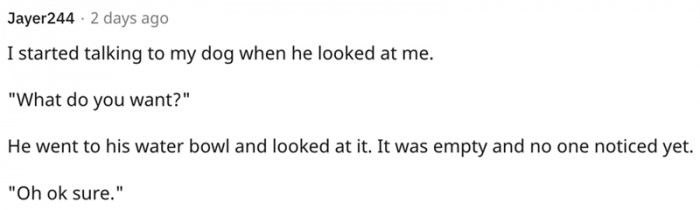 11. Proof that your dog understands you.