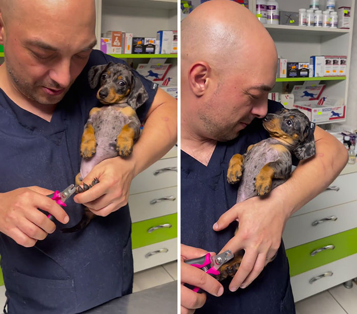"My First Vet Visit Was Weird. This Guy Kept Interrupting My Complaining"