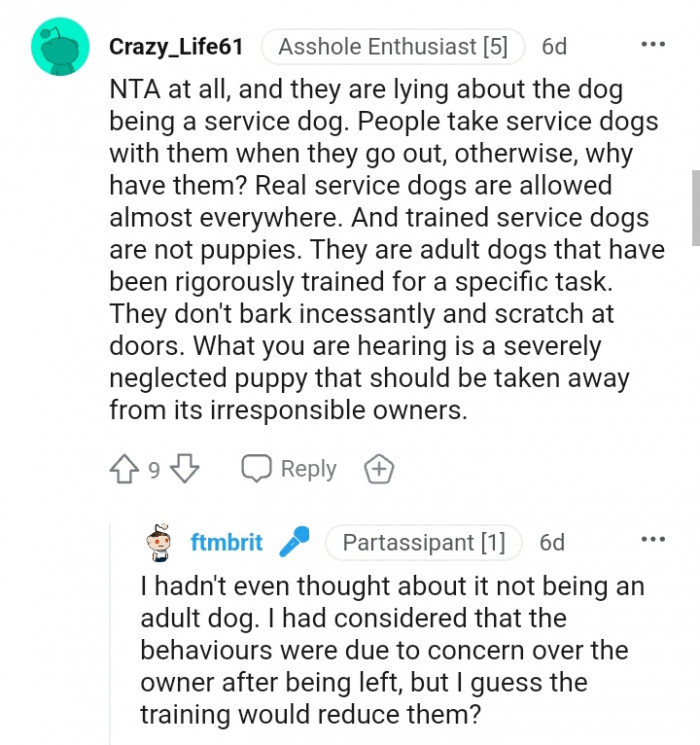 People Take Service Dogs with Them When They Go Out