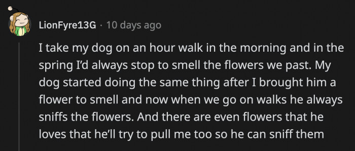 Sometimes, you don't even have to train dogs to smell flowers because they pick up on it on their own