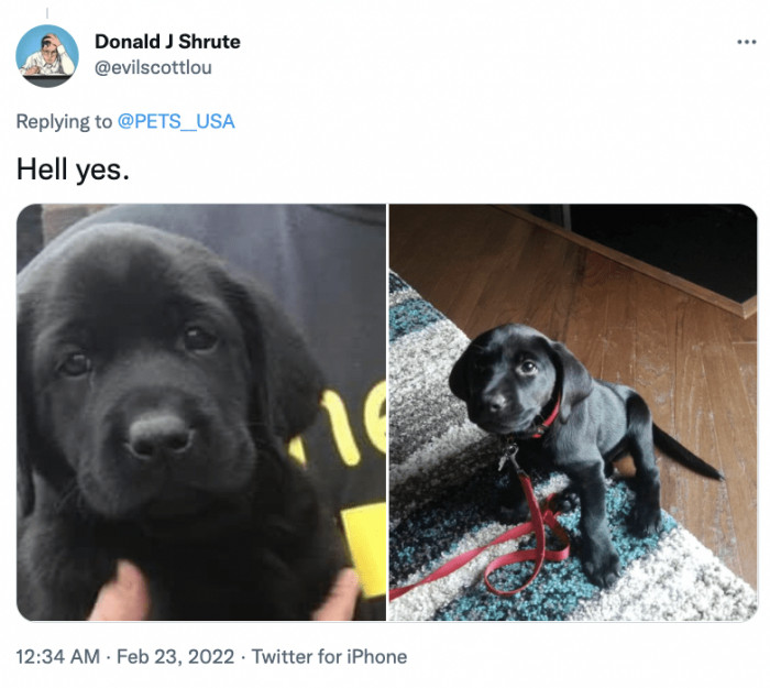 8. “I heard you had a question. Look at me. Do I answer your question?”