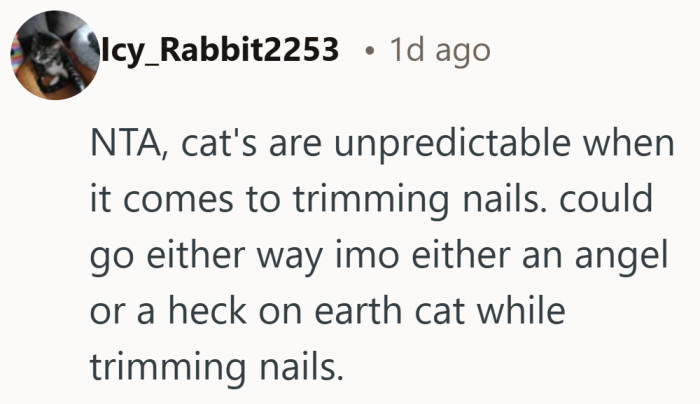 Some cats sit politely for nail trims. Others have very different plans.
