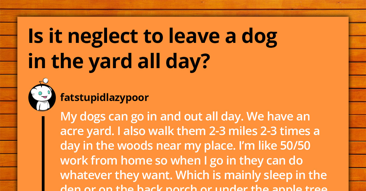 Is It Considered Neglect To Leave A Dog Alone In The Yard Reddit