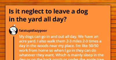 Is It Considered Neglect To Leave A Dog Alone In The Yard -  Reddit Discussion Goes Viral