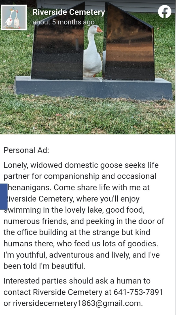 A staff member came up with an idea to publish a personal ad