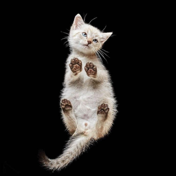 9. They're surely over-delivering in different styles