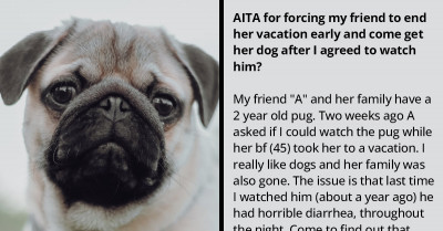 Redditor Forces Friend To End Her Vacation Early To Get Her Dog Despite Agreeing To Watch Him