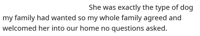 The dog was perfect for the OP and her family, so she agreed to adopt her without question.