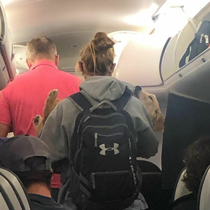 21. Guess he's sleepy