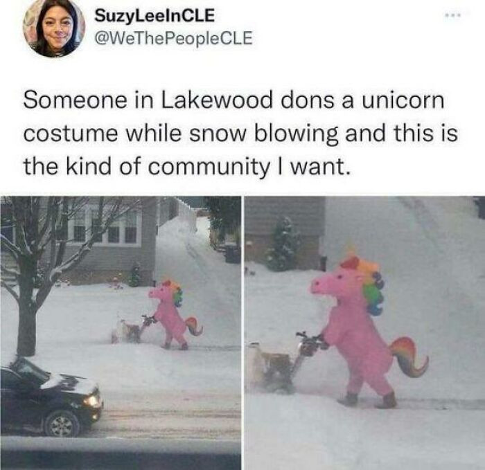 5. This person's approach to winter is commendable. And should be copied as much as possible