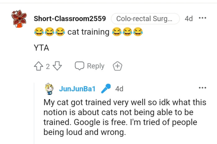 Cats not being able to be trained